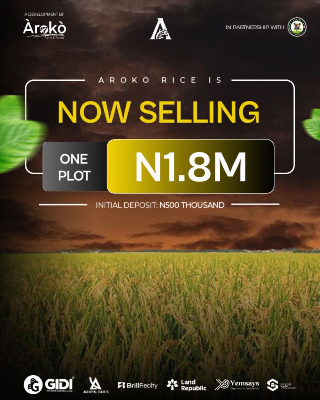 Aroko Rice Farmland Badagry